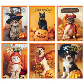 Six Halloween-themed cards featuring pets dressed in costumes.