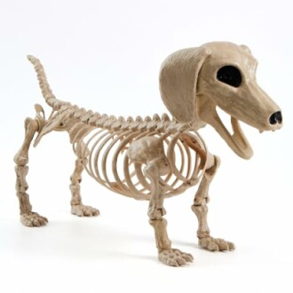 JOYIN Halloween Wiener Dog Skeleton