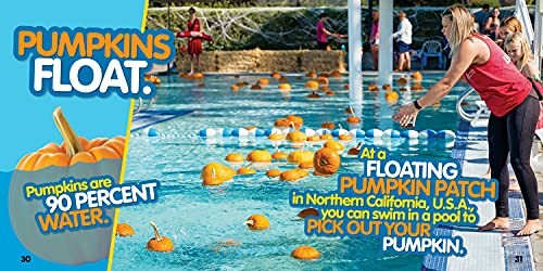 Pumpkins floating in a swimming pool during a floating pumpkin patch event.