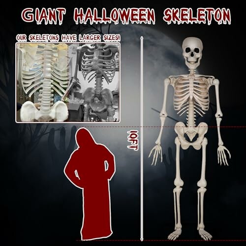 Comparison of a giant Halloween skeleton with smaller skeletons and a cloaked figure for size reference.