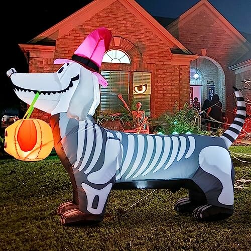 Inflatable dachshund skeleton with pumpkin and witch hat in front of house