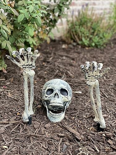 Halloween decoration with a skull and skeleton hands in a garden.