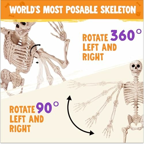 Advertisement for a posable skeleton with rotating joints.