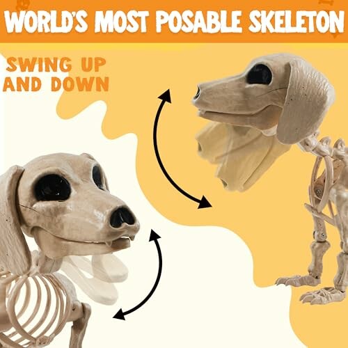 Posable dog skeleton toy with movable head.