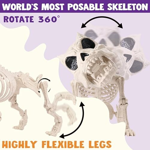 Skeleton toy with rotating head and flexible legs.