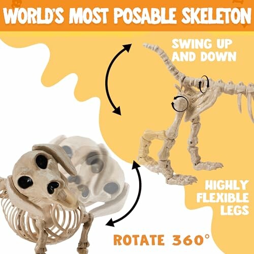 Toy skeleton with flexible joints and rotatable parts.