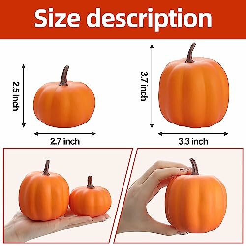 Size description of small and large pumpkins with hands for scale.