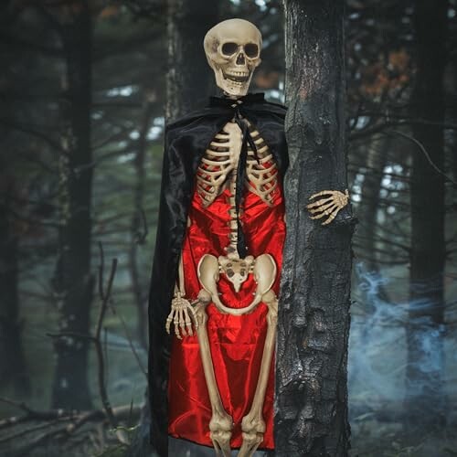 Skeleton in a Dracula costume leaning against a tree in a forest.