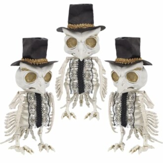 Three skeleton owls in top hats and lace.