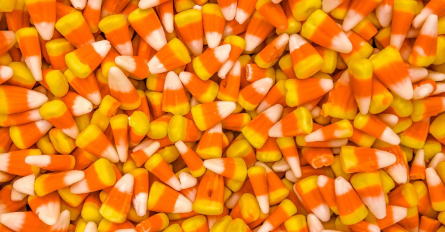 Halloween Treats and Fall Favorites